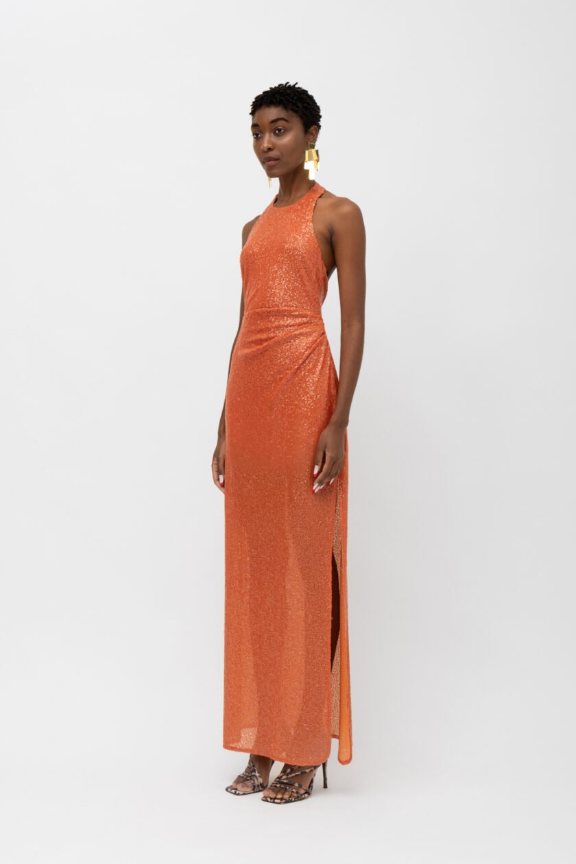 Naisha Orange Dress