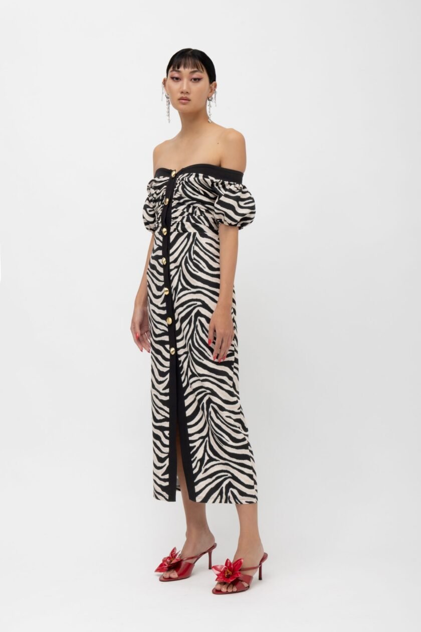 Masai Zebra Dress - Image 2