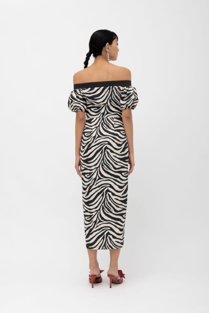 Masai Zebra Dress - Image 3
